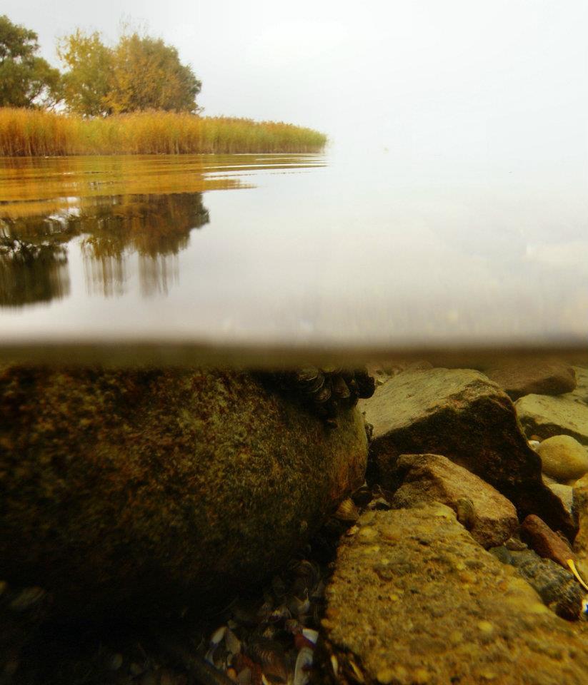 DAIWA - 3090642247151609292981954552388n1.jpg